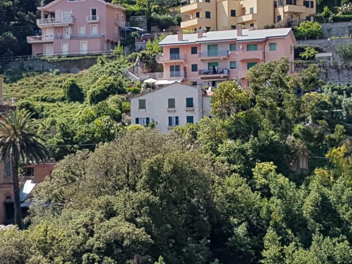 Ai Pastelli Daire Zoagli Dış mekan fotoğraf